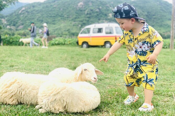 Full Day Tour in Rai Cave to Vinh Hy to Vineyard and Sheeps Farm - Who Will Love This Tour?