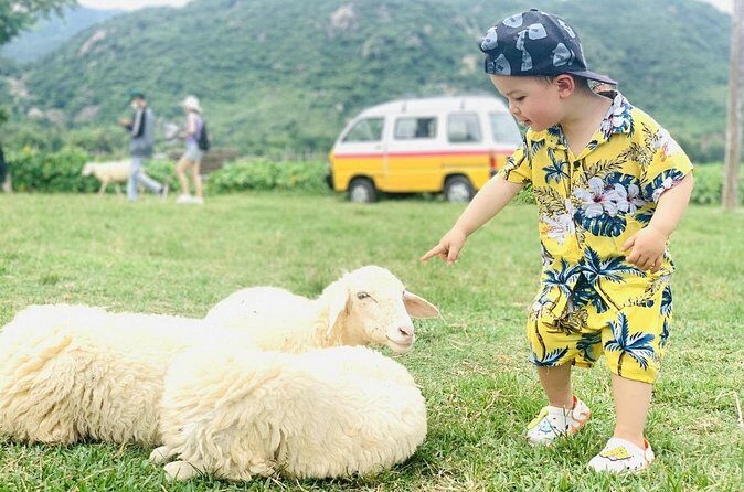 Full Day Tour in Rai Cave to Vinh Hy to Vineyard and Sheeps Farm - The Sum Up
