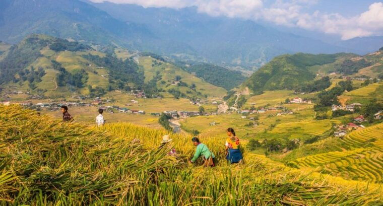 full-day-tour-in-sapa-trekking-with-local-guide