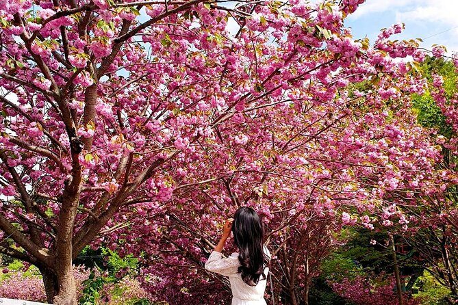 Full Day Tour in Seosan Gaesimsa, Munsusa and Suwon Hwaseong - FAQ