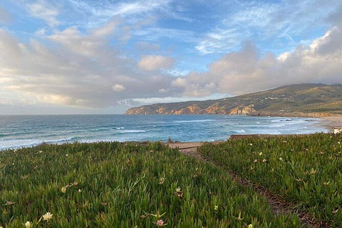 full-day-tour-in-sintra-pena-palace-and-quinta-de-regaleira