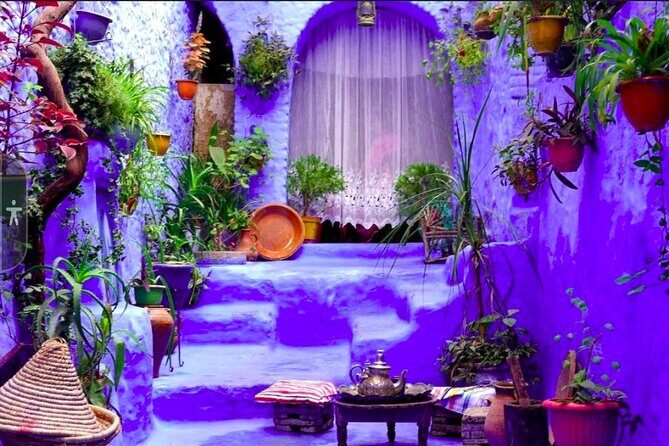 Full Day tour in the Blue City Chefchaouen - Practical Details and Value