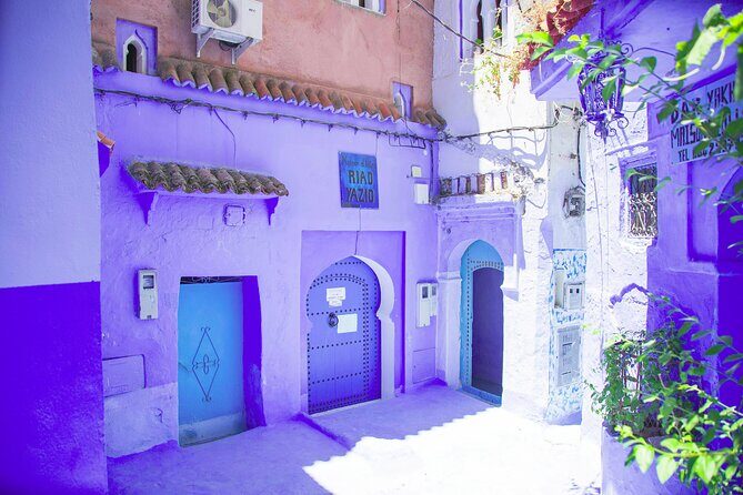 Full Day tour in the Blue City Chefchaouen - Who Is This Tour Best For?