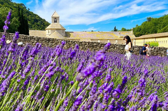 full-day-tour-in-the-lavenders-of-valensole-or-sault