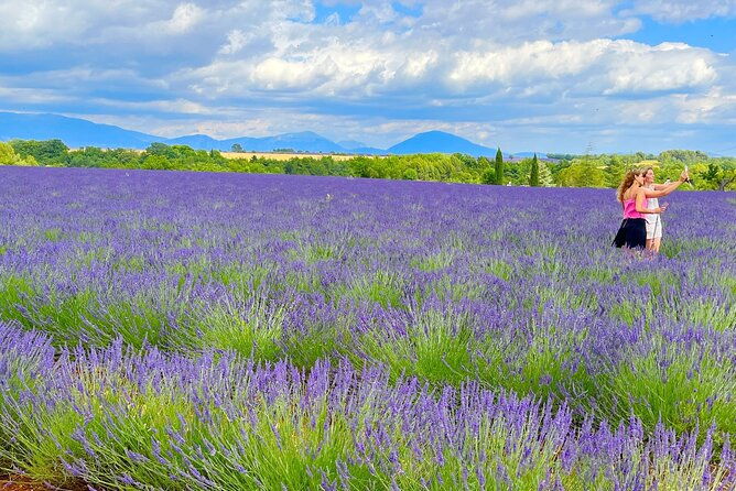 full-day-tour-in-the-lavenders-of-valensole-or-sault