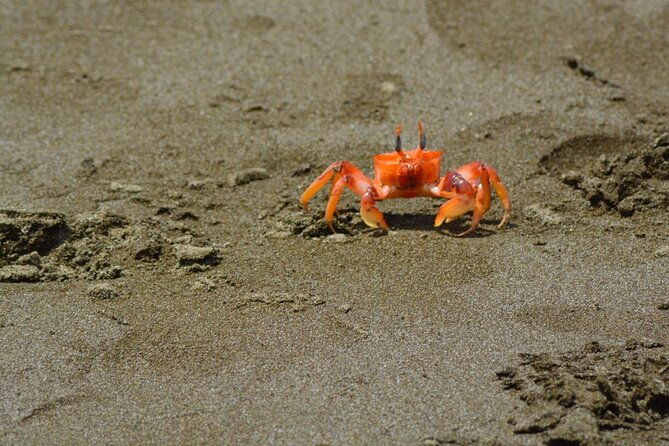 full-day-tour-isla-salango-snorkel-seabirds-from-guayaquil