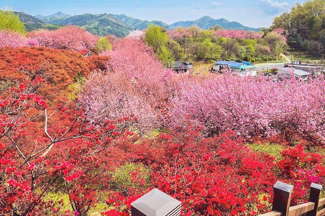 Full Day Tour Jeonju Hanok Village, Wansan Park and Gakwonsa - Key Points