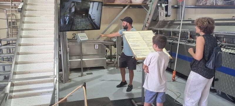 Full day tour Knossos,Zeus's land,lasithi&olive oil factory - What’s Included & Considerations