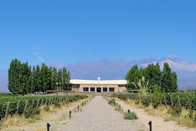 full-day-tour-mendoza-wineries-in-the-uco-valley