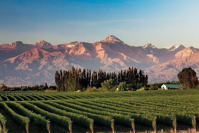 full-day-tour-mendoza-wineries-in-the-uco-valley