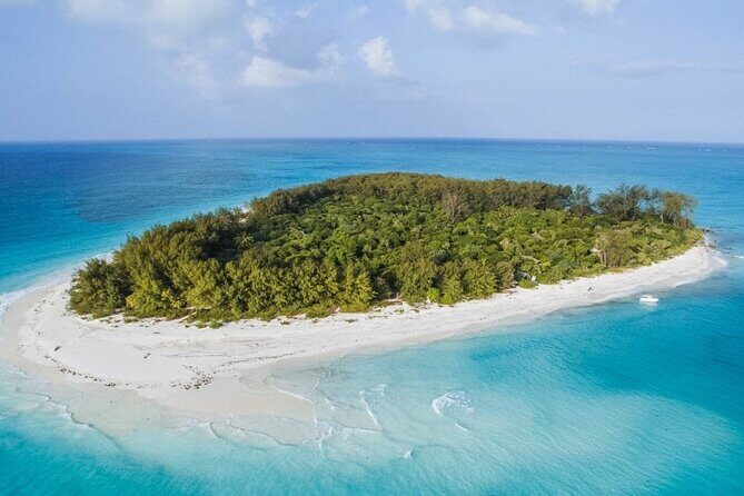 Full-day Tour Mnemba Jozani Forest Kuza Cave Paje Beach The Rock - Key Points