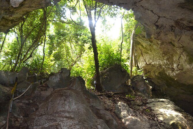 Full-day Tour Mnemba Jozani Forest Kuza Cave Paje Beach The Rock - FAQs