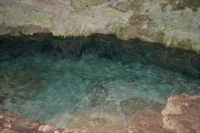 Full-day Tour Mnemba Jozani Forest Kuza Cave Paje Beach The Rock - Final Thoughts