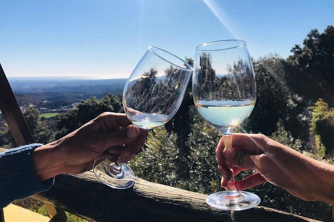 full-day-tour-of-algarve-wineries-from-albufeira