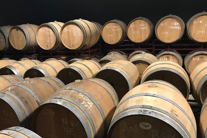 full-day-tour-of-algarve-wineries-from-albufeira