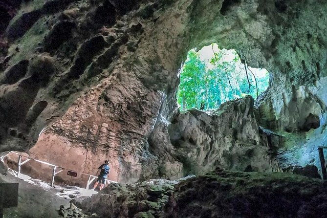 full-day-tour-of-cayo-levantado-and-los-haitises-national-park