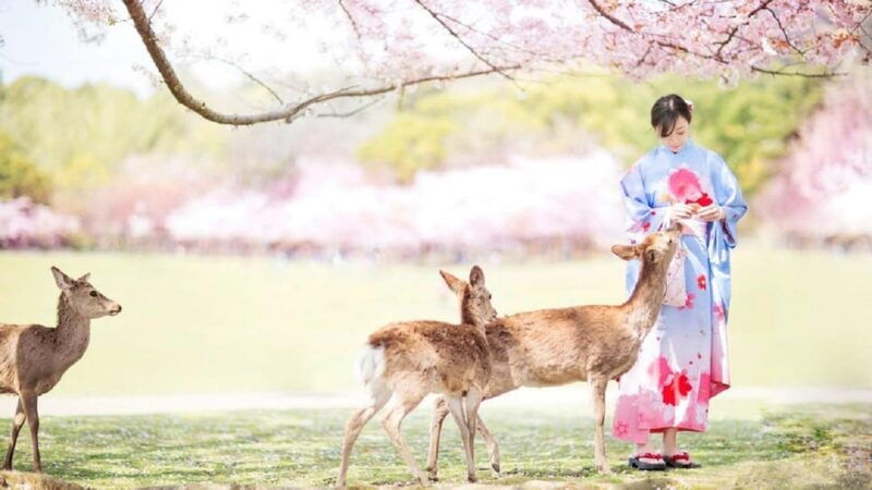 full-day-tour-of-kyoto-and-nara-unesco-heritage-highlights