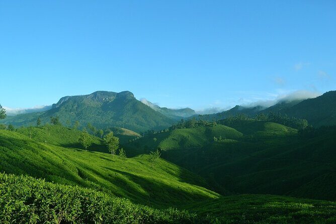 Full Day Tour Of Munnar With Lunch - The Itinerary Breakdown