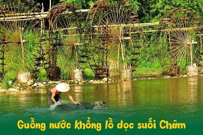 Full Day Tour Of Ninh Binh From City Center Tam Coc Or Trang An - Final Thoughts