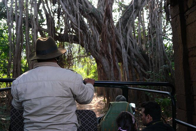 Full-Day Tour of Ranthambore from Jaipur - Wildlife Encounters and Photography