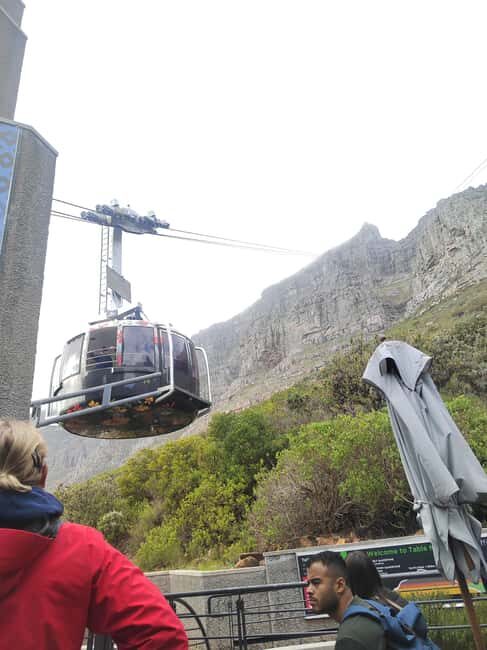 Full day Tour of Robben Island and Table Mountain - What’s Included and What to Expect