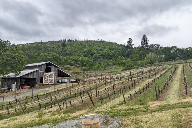 full-day-tour-of-rogue-valley-wineries