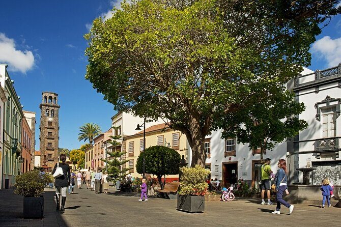 Full Day Tour of Santa Cruz and San Cristóbal de La Laguna - The Sum Up