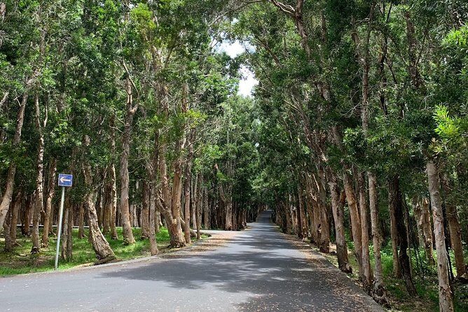 Full-Day Tour of South West Mauritius - FAQ