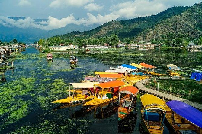 Full day tour of Srinagar with Entrance Fee & Guide - A Full Breakdown of the Srinagar Tour Experience