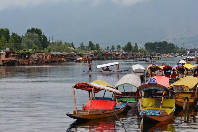 Full day tour of Srinagar with Entrance Fee & Guide - The Sum Up