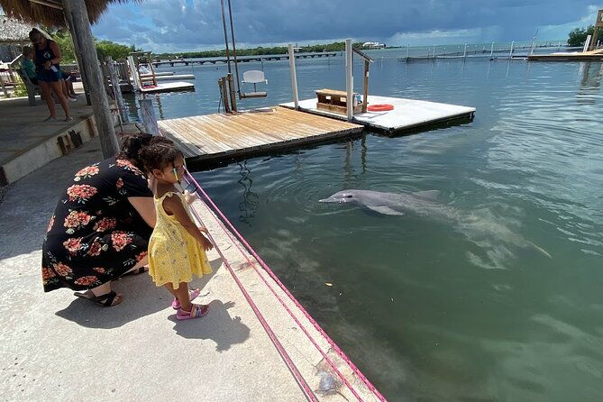 full-day-tour-of-the-florida-keys-key-largo-islamorada-key-west