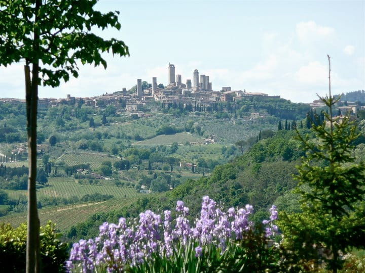full-day-tour-of-tuscany-from-florence-small-group-up-8-pax