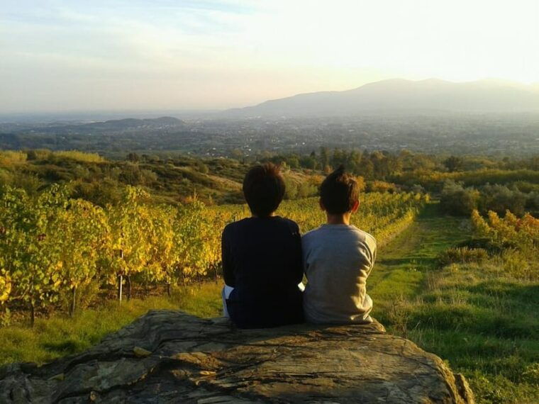 full-day-tour-of-tuscany-from-florence-small-group-up-8-pax