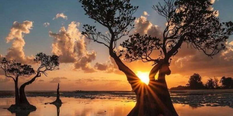 full-day-tour-of-waterfalls-hills-and-beaches-in-sumba