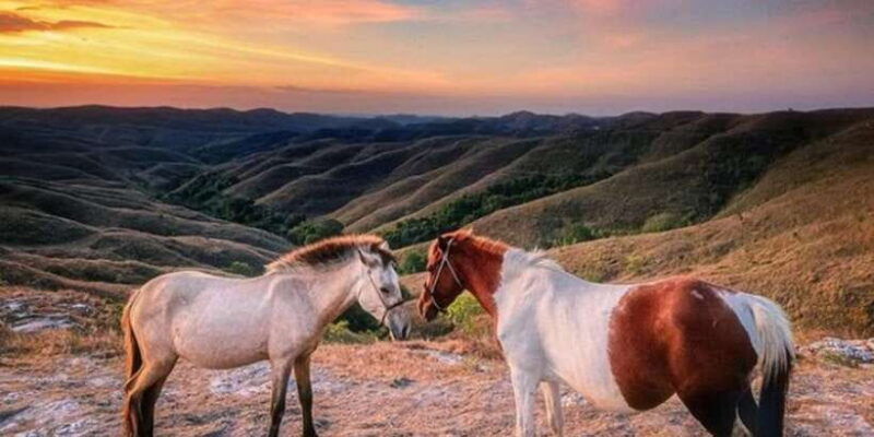 full-day-tour-of-waterfalls-hills-and-beaches-in-sumba
