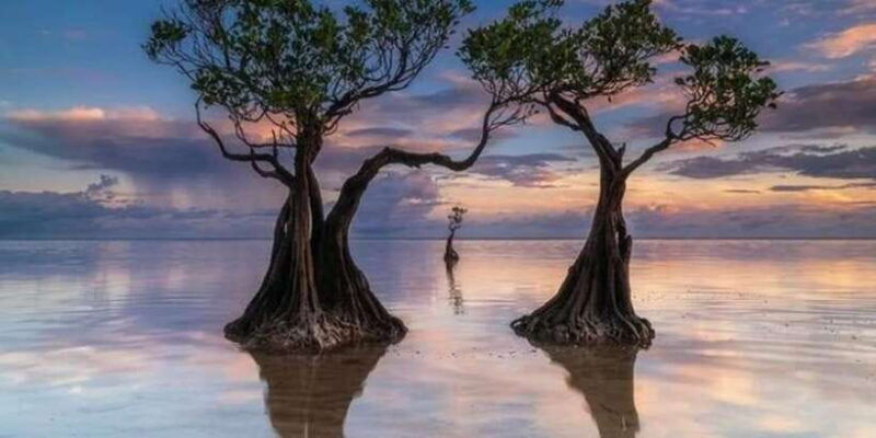 full-day-tour-of-waterfalls-hills-and-beaches-in-sumba
