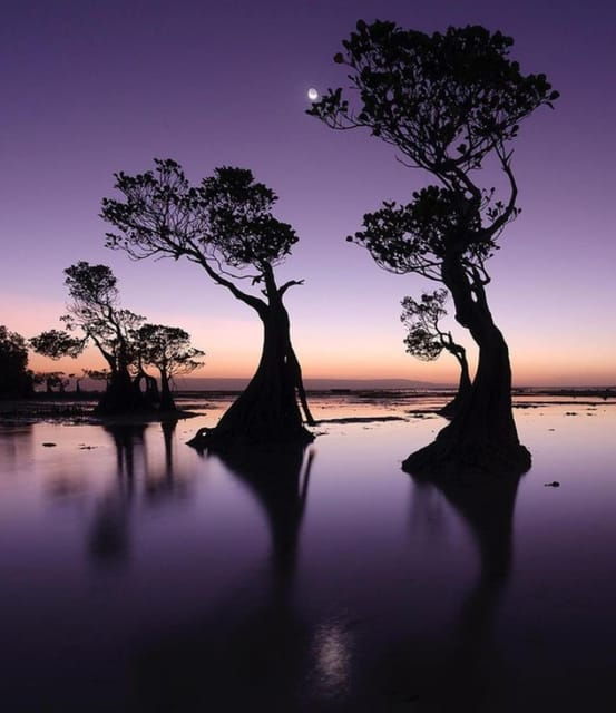 full-day-tour-of-waterfalls-hills-and-beaches-in-sumba