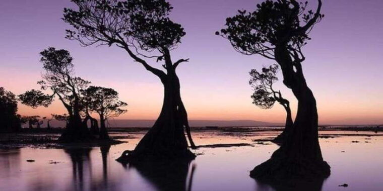 full-day-tour-of-waterfalls-hills-and-beaches-in-sumba
