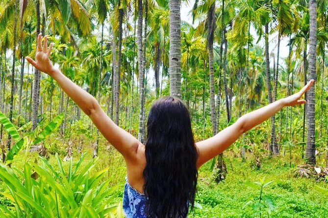 Full-Day Tour Old Goa Dudhsagar Falls and Spice Plantation - Authentic Experiences from Real Reviewers