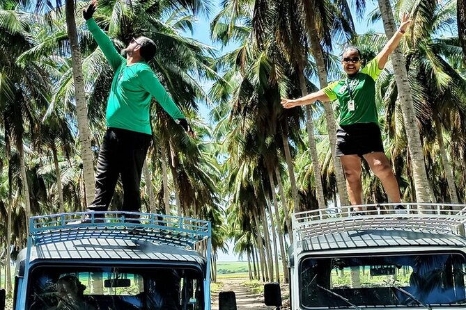 full-day-tour-on-the-coqueirais-trail