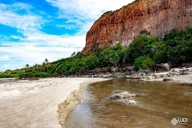 full-day-tour-on-the-coqueirais-trail