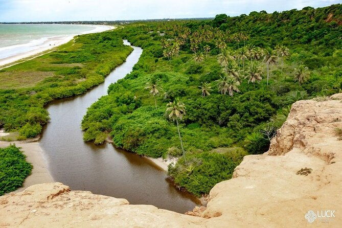 full-day-tour-on-the-coqueirais-trail