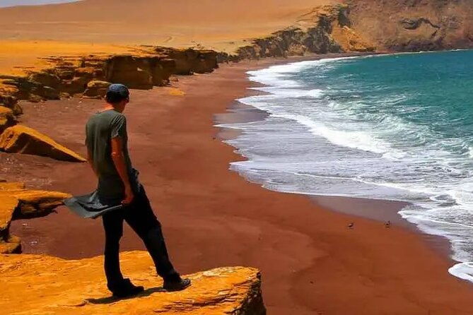 full-day-tour-paracas-and-ica