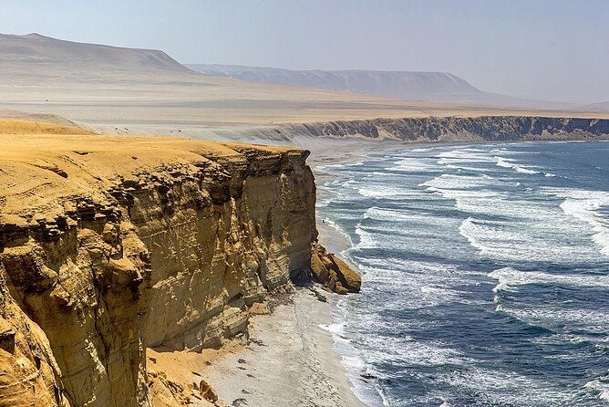 full-day-tour-paracas-and-ica