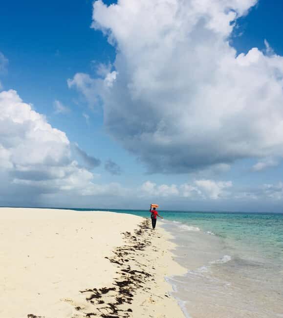 Full day tour personal chauffeur - What To Expect During Your Private Day Trip