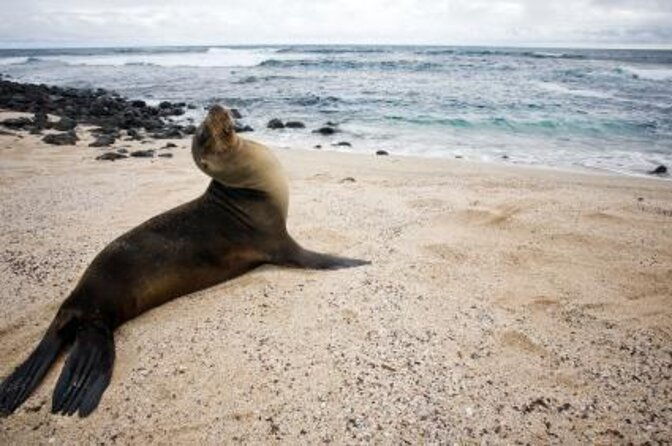 full-day-tour-pinzon-island-la-fe-las-palmas-snorkeling-fishing