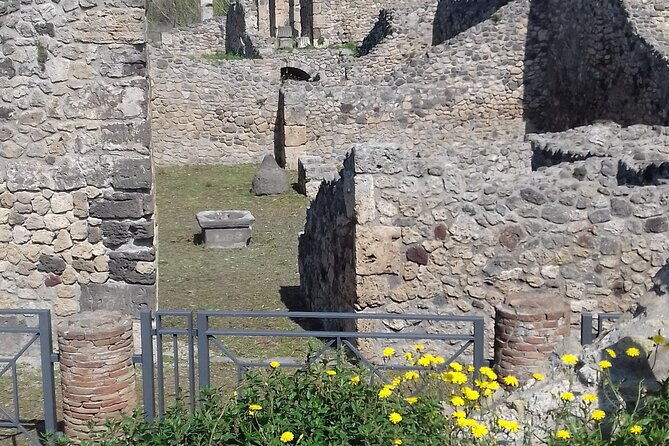 full-day-tour-pompeii-sorrento-positano