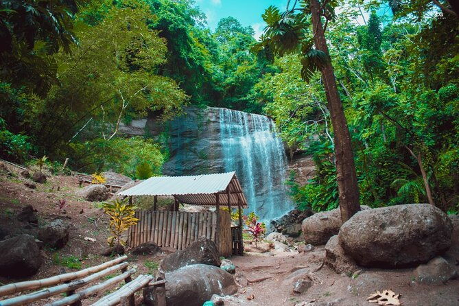 full-day-tour-popular-sites-grenada-belmont-estate-rain-forest-and-more