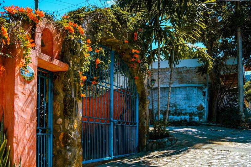 Full-Day Tour  Puerto Vallarta to Sayulita Exploration - What to Expect from the Sayulita Day Trip