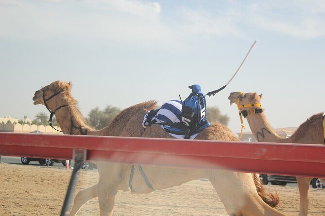 Full-Day Tour Qatar North And West - Final Thoughts